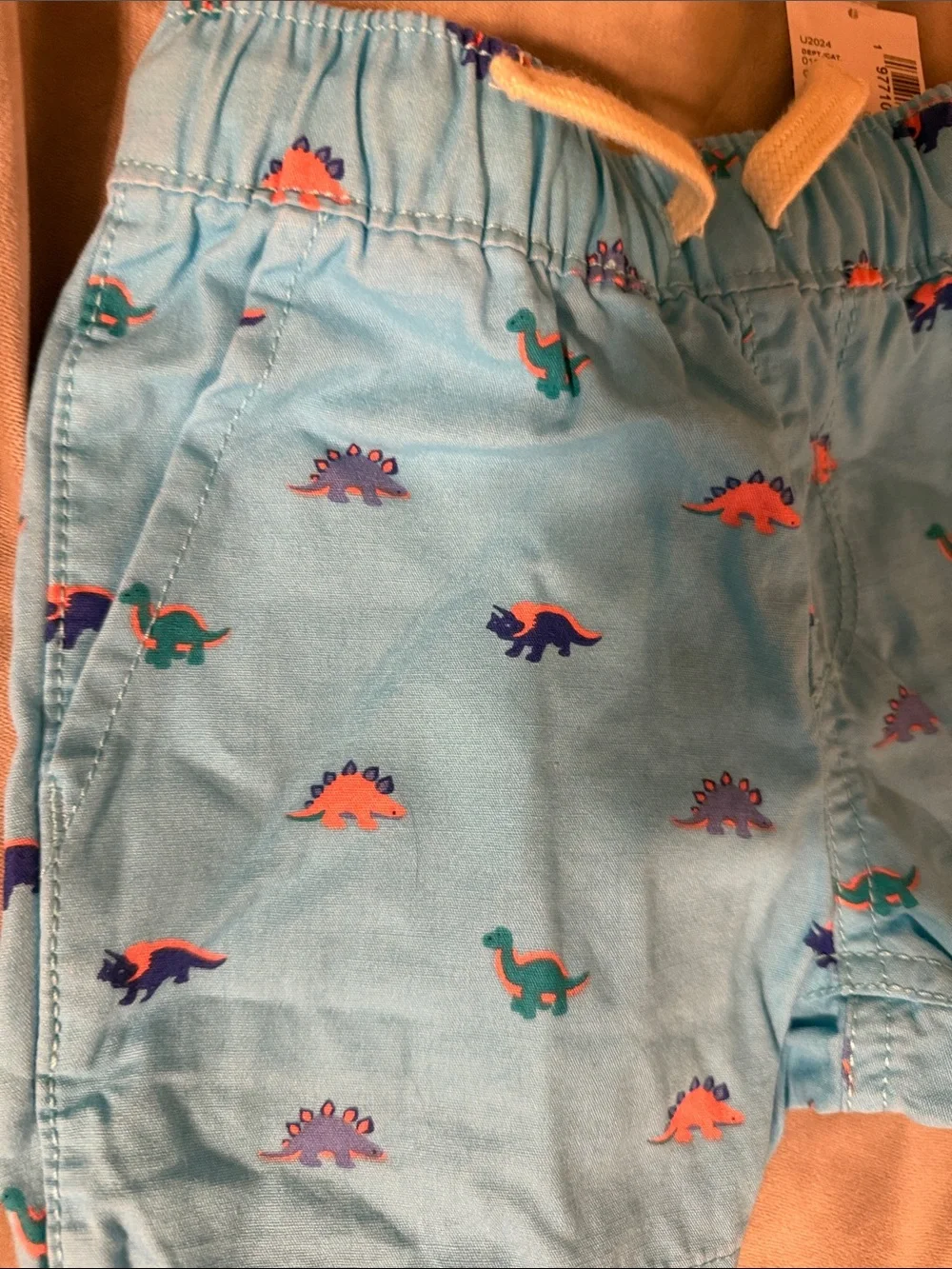 The Children's Place Light Blue Dino Swim Shorts